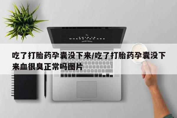 堕胎药货到付款吃了打胎药孕囊没下来/吃了打胎药孕囊没下来血很臭正常吗图片